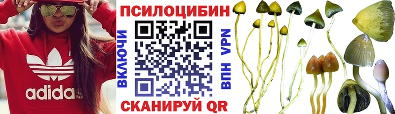 Псилоцибиновые грибы Psilocybine cubensis  Тула 