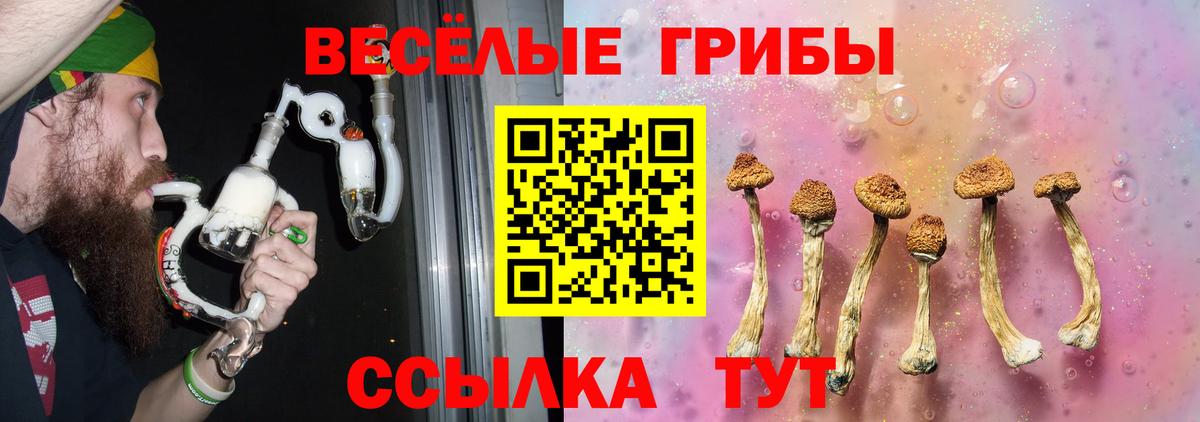 Галлюциногенные грибы MAGIC MUSHROOMS Тула